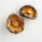 Shiitake bio - 2