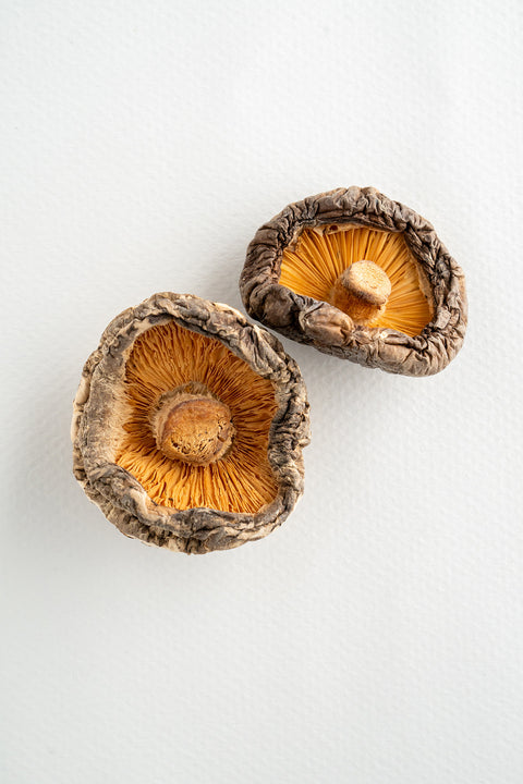 Shiitake bio - 2