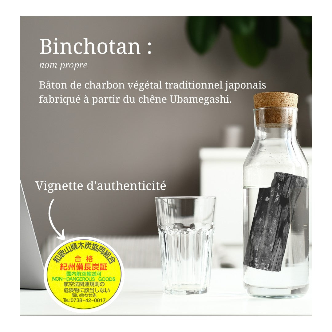 Takesumi -- Charbon binchotan kishu - 25g – Aventure Bio Belgique