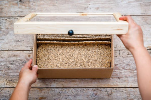 picture position - 2