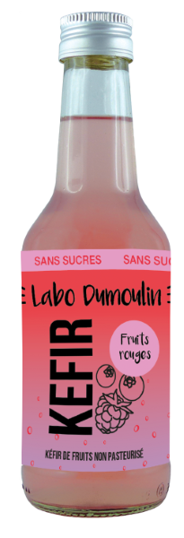 Le Labo Dumoulin -- Kéfir fruits rouges bio (non pasteurisé) - 25 cL x 12