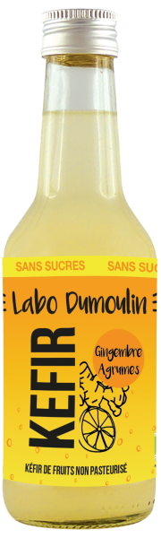 Le Labo Dumoulin -- Kéfir gingembre agrumes bio (non pasteurisé) - 25 cL x 12