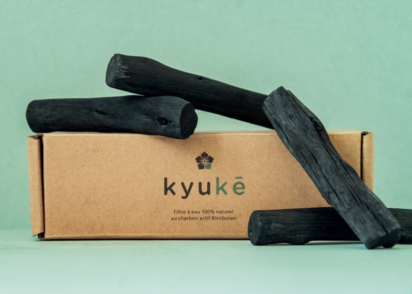 Kyuké -- échantillon Charbon actif Binchotan s pour carafe 1l