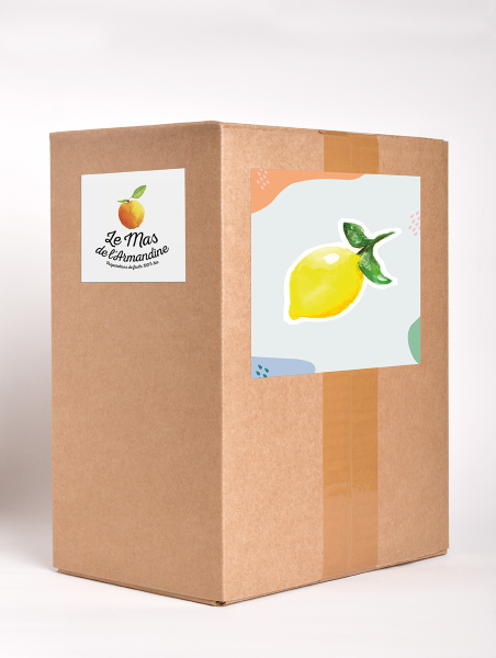 Le Mas De L'armandine -- Confiture de citron de sicile bio Vrac - 5 kg