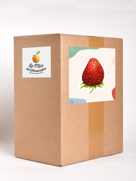 Le Mas De L'armandine -- Confiture fraise bio Vrac - 5 kg