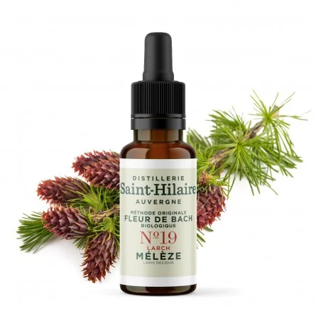 picture position - 1