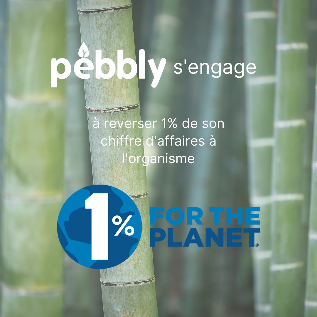 Pebbly -- Plat/boîte rectangulaire en verre avec couvercle en bambou - 1 l