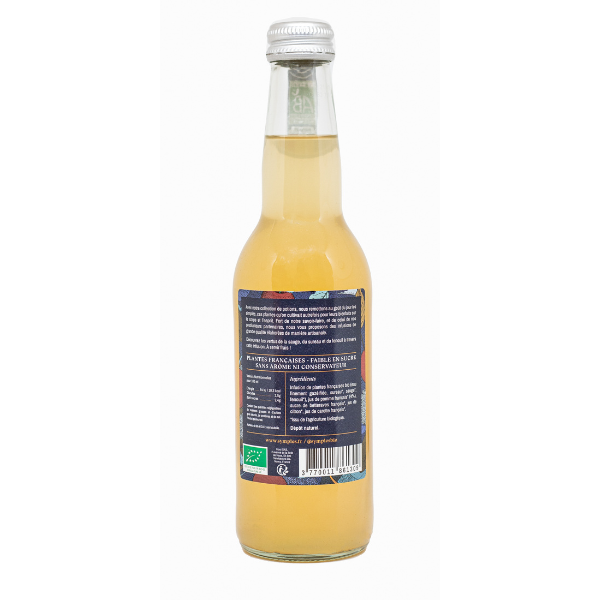 Symples -- Infusion pétillante détoxifiante bio - 33 cl x 12