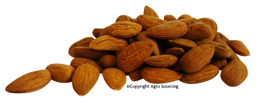 Agrosourcing -- Amandes décortiquées bio Vrac (origine Espagne) - 5 kg x 2