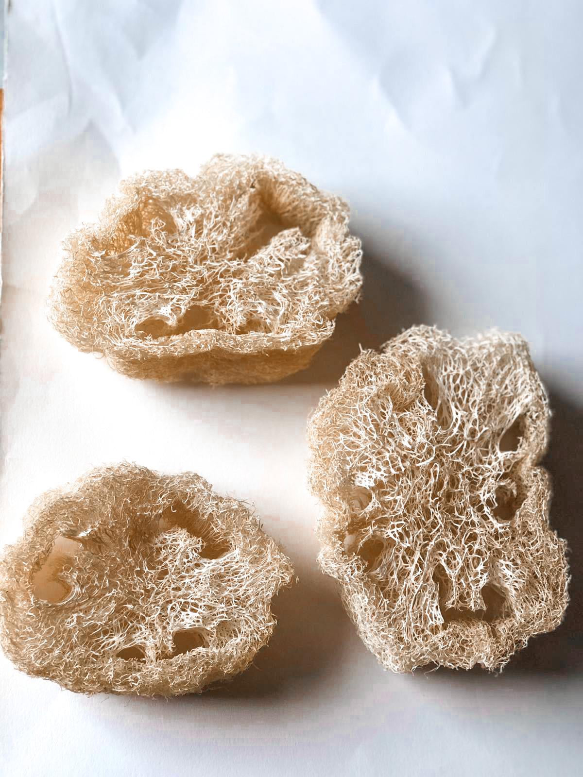 Angie Be Green -- 3 tranches de loufah bru (porte-savon) - Biodégradable