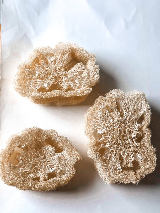 Angie Be Green -- 3 tranches de loufah bru (porte-savon) - Biodégradable