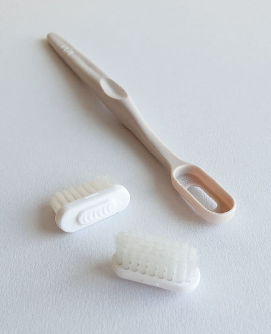 Apo -- Présentoir 12 brosses à dents rechargeables (1 manche + 2 têtes souple)
