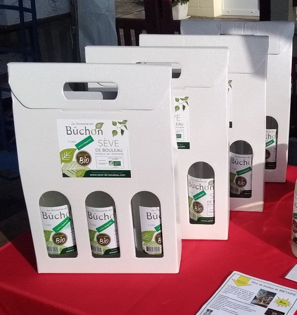 Domaine Du Bûchon -- Cure de sève de bouleau bio lactofermentée (origine France) - 3L x 8