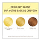 Terre De Couleur -- Coloration végétale blond - 100 g