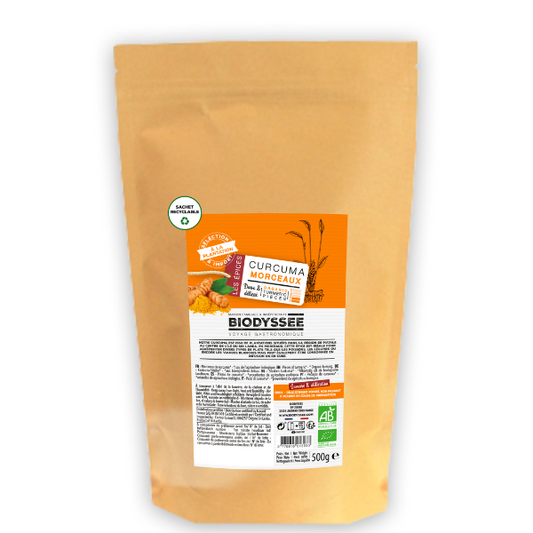 Biodyssée -- Curcuma en morceaux biodyssée bio Vrac (origine Sri Lanka) - 500 g