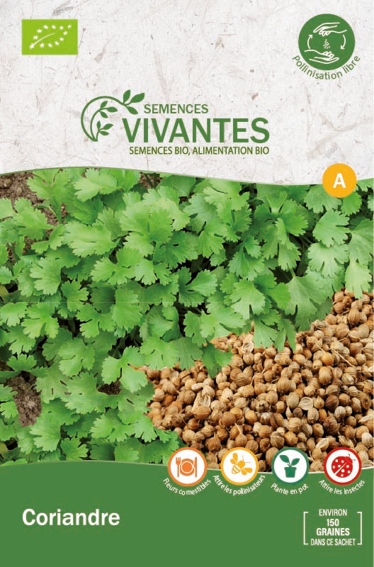 Semences Vivantes -- Coriandre Bio - sachet de 150 graines