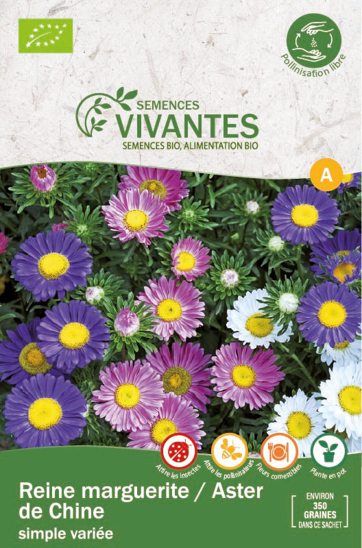 Semences Vivantes -- Reine marguerite / Aster de Chine simple variée Bio - sachet de 350 graines