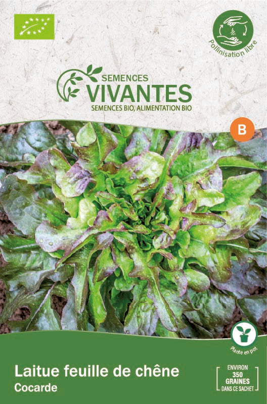 Semences Vivantes -- Roquette Ruca Bio - sachet de 1200 graines