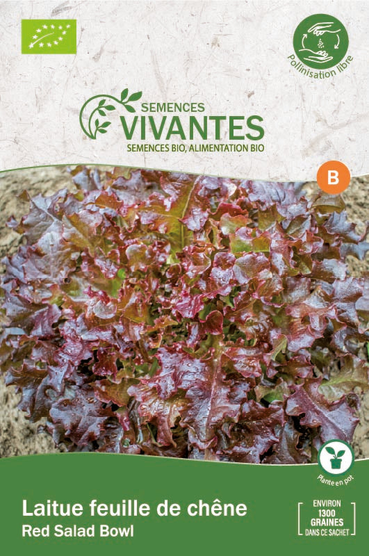 Semences Vivantes -- Laitue feuille de chêne Red Salad Bowl Bio Demeter - sachet de 1300 graines