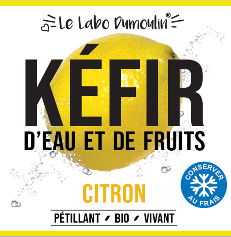 Le Labo Dumoulin -- Kéfir citron bio (frais) - 25 cl x 8