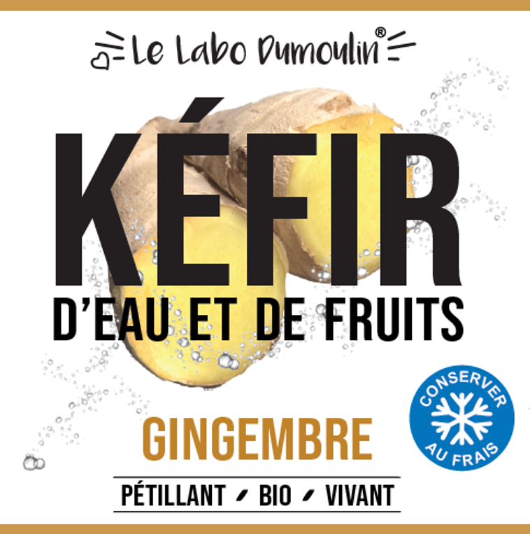 Le Labo Dumoulin -- Kéfir gingembre bio (frais) - 25 cl x 8