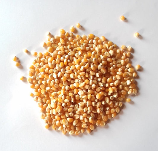 Corab Coopérative -- Maïs popcorn bio Vrac (origine France) - 5 kg