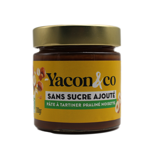 Yacon & Co -- Pâte à tartiner praliné noisette bio - 200 g