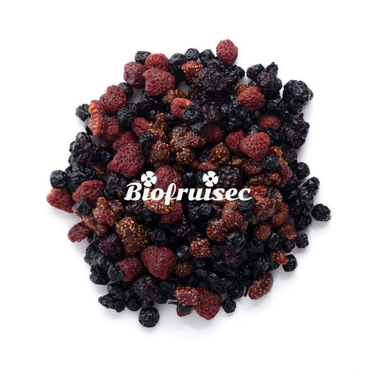 Biofruisec -- Mix Superfruits rouges des Alpes Dinariques séchés bio vrac - 1kg