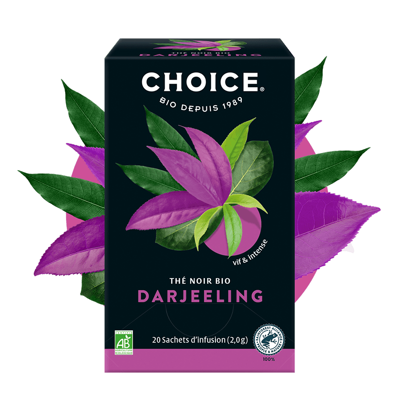 CHOICE -- Darjeeling - 20 sachets - 40 g