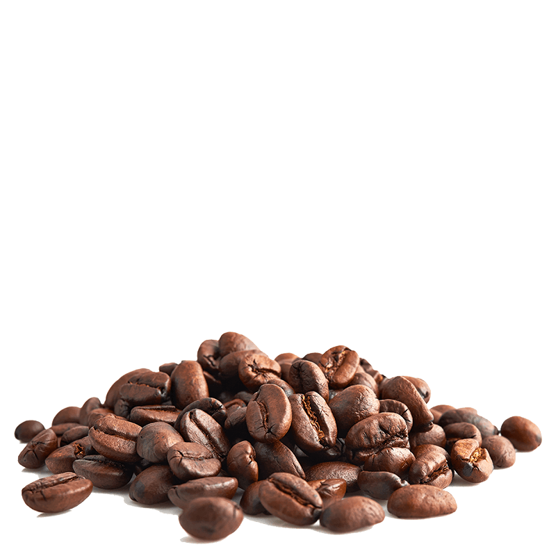 Les Cafés Dagobert -- Colombie 100% arabica, bio et équitable - grains Vrac (origine Colombie) - 5 kg