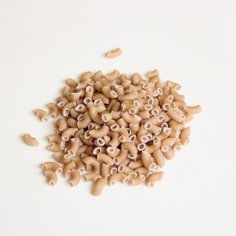 Ferme bio du point du jour -- Coquillette blé ancien bio vrac  (origine France) - 5 kg