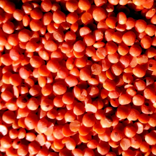 Graine de sens (Berry graines) -- Lentilles Corail bio vrac (origine France) - 5 Kg