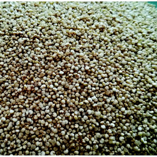 Graine de sens (Berry graines) -- Quinoa Blanc Cuisson 6min bio vrac (origine France) - 5 Kg