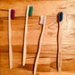 Paos -- Brosses à dents en bambou 4 coloris - Présentoir x12
