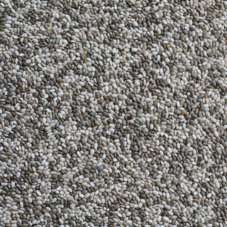 Priméal -- Graines de chia bio (Amérique du Sud) - vrac 5 kg