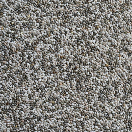 Priméal -- Graines de chia bio (Amérique du Sud) - vrac 5 kg