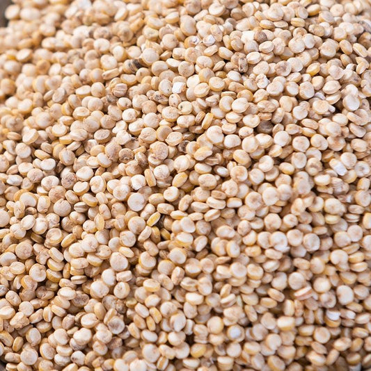 Priméal -- Quinoa blanc nature real bio (Bolivie) - vrac 5 kg