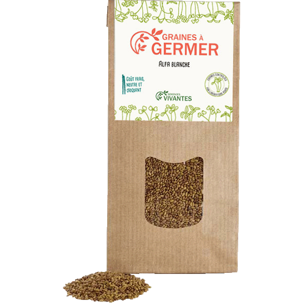 Semences Vivantes -- Graines d'Alfa blanche à germer Bio - 150 g