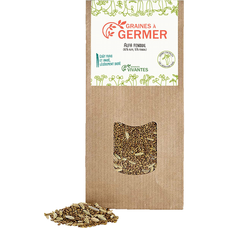 Semences Vivantes -- Graines d'Alfa fenouil à germer Bio - 150 g