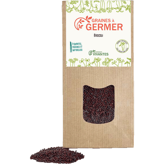 Semences Vivantes -- Graines de Brocoli à germer Bio - 150 g