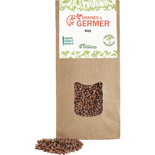 Semences Vivantes -- Graines de Radis à germer Bio - 150 g