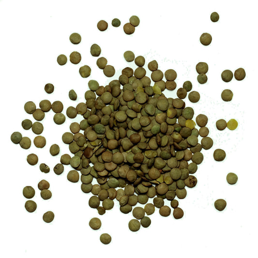 Corab Coopérative -- Lentilles vertes bio Vrac (origine France) - 5 kg